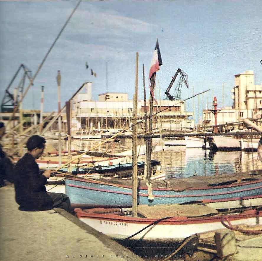 port-peche oran .jpg